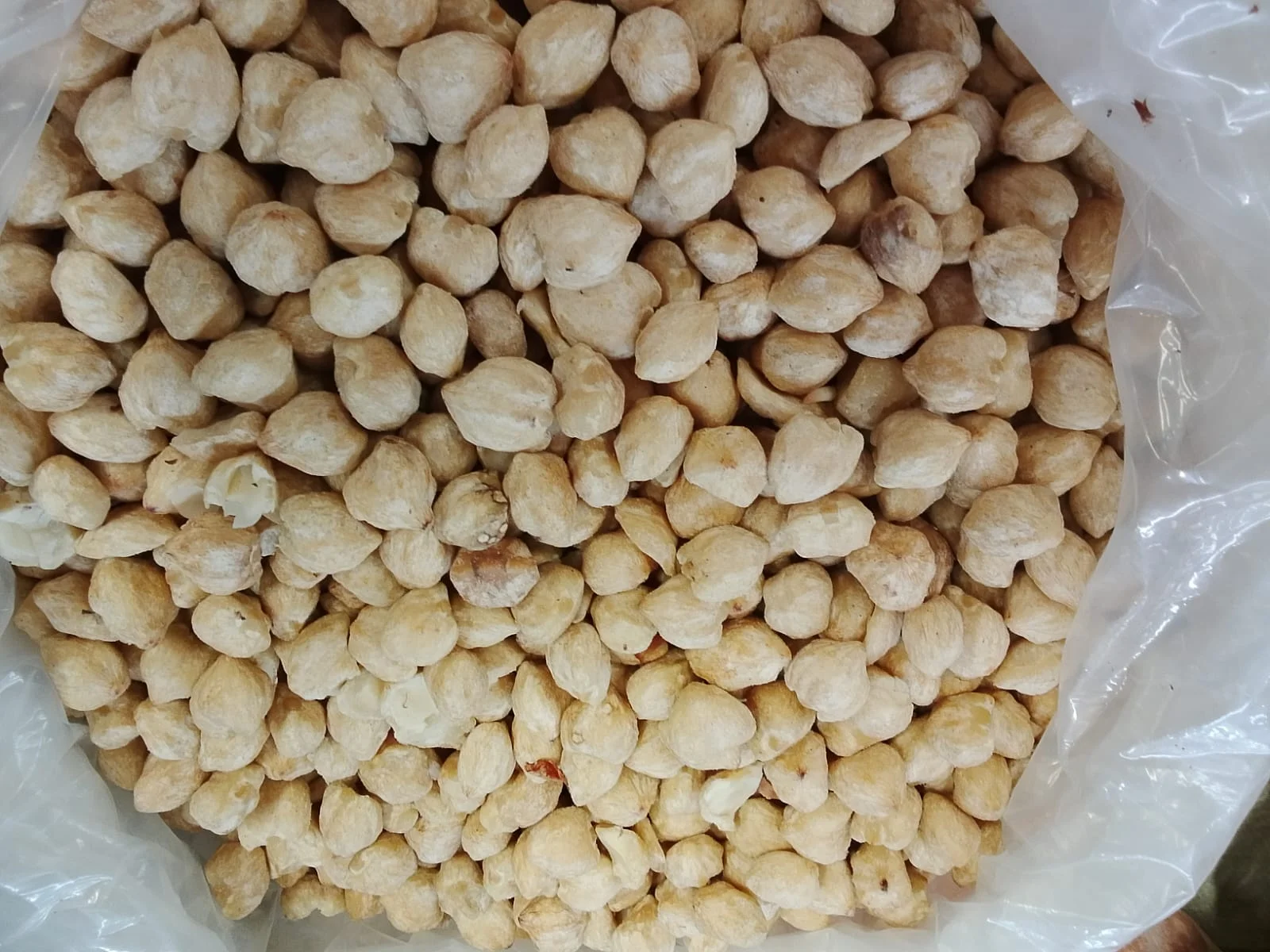 Whole Candlenuts - PT Mutiara Legundi Jaya